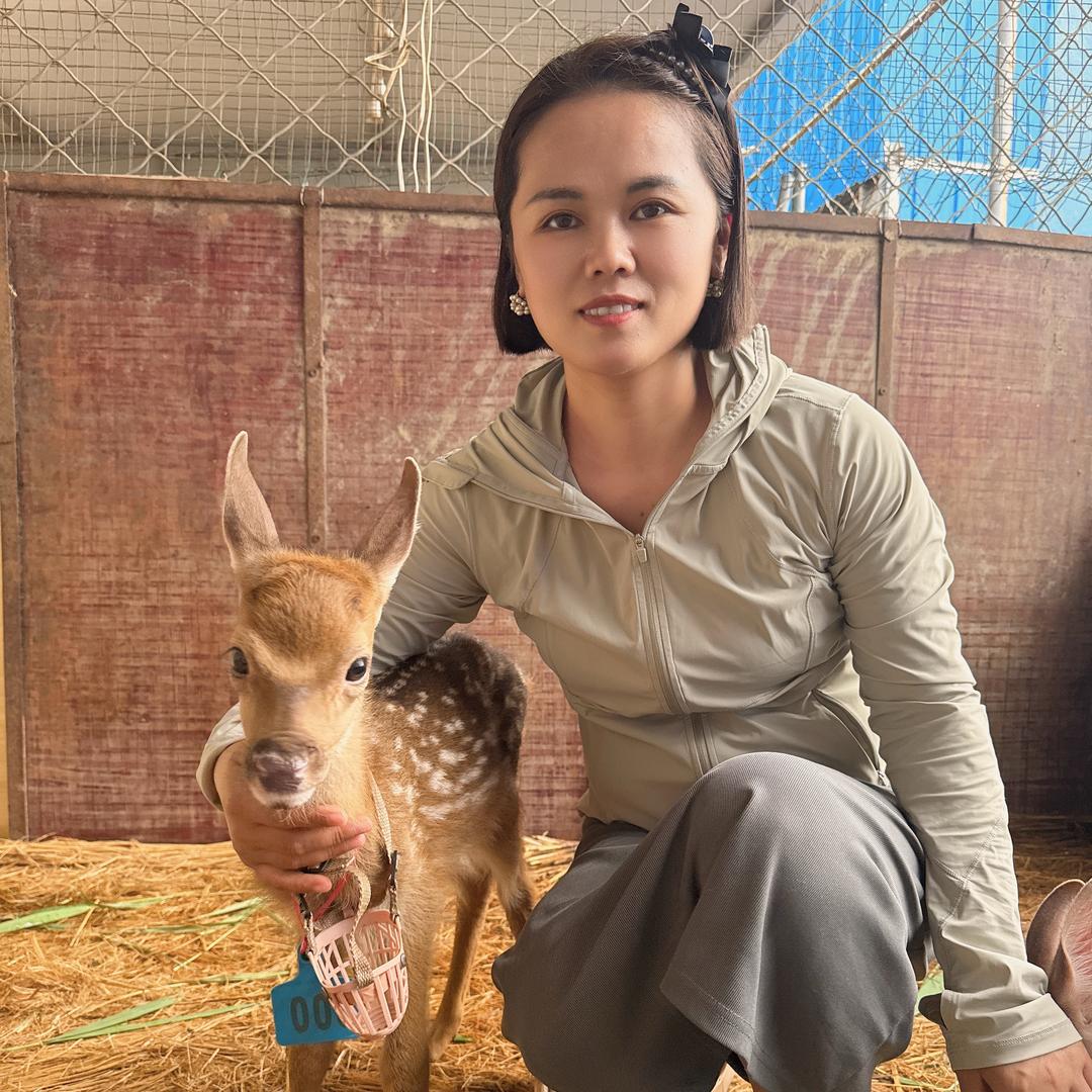 静精优选观赏萌宠