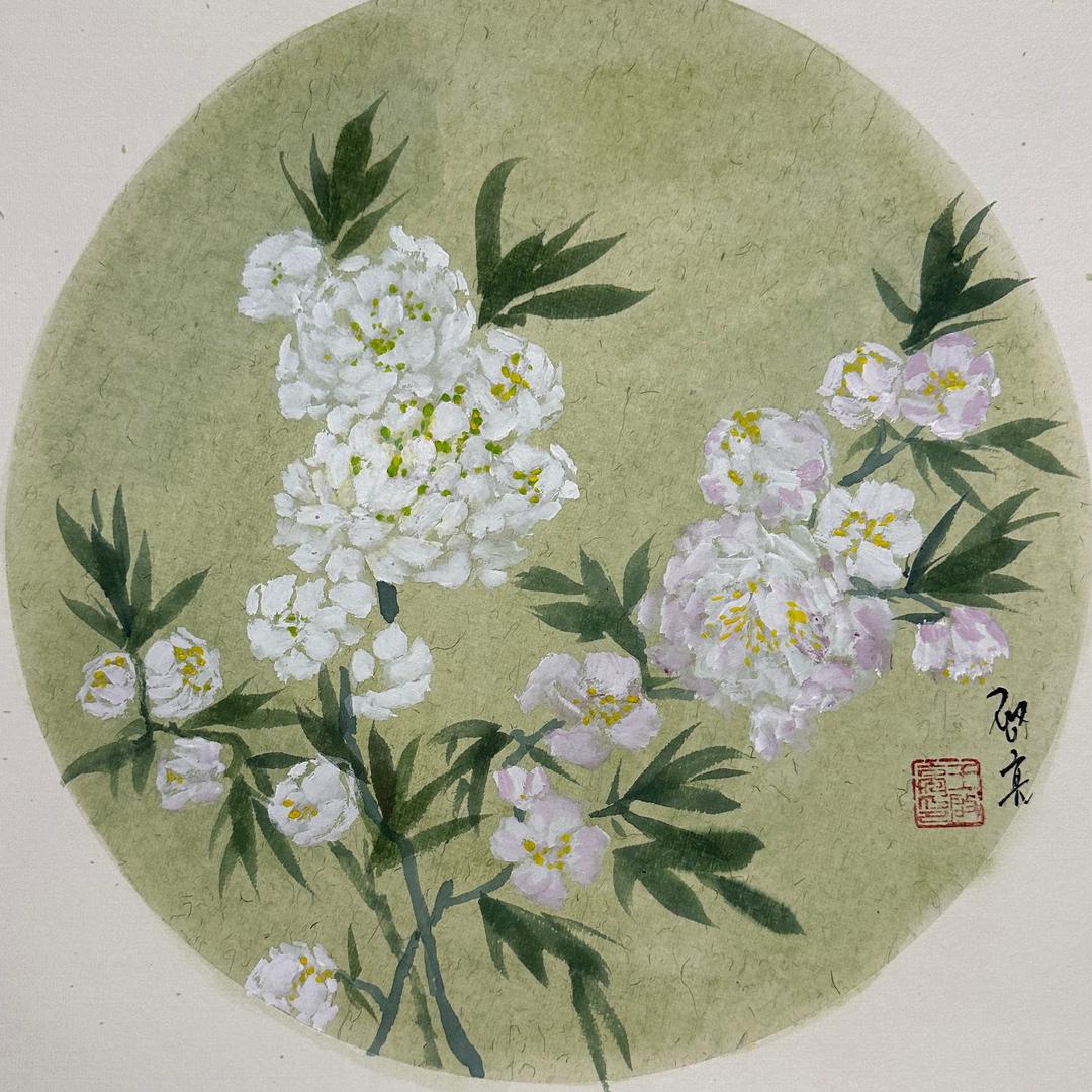 南岭梧桐