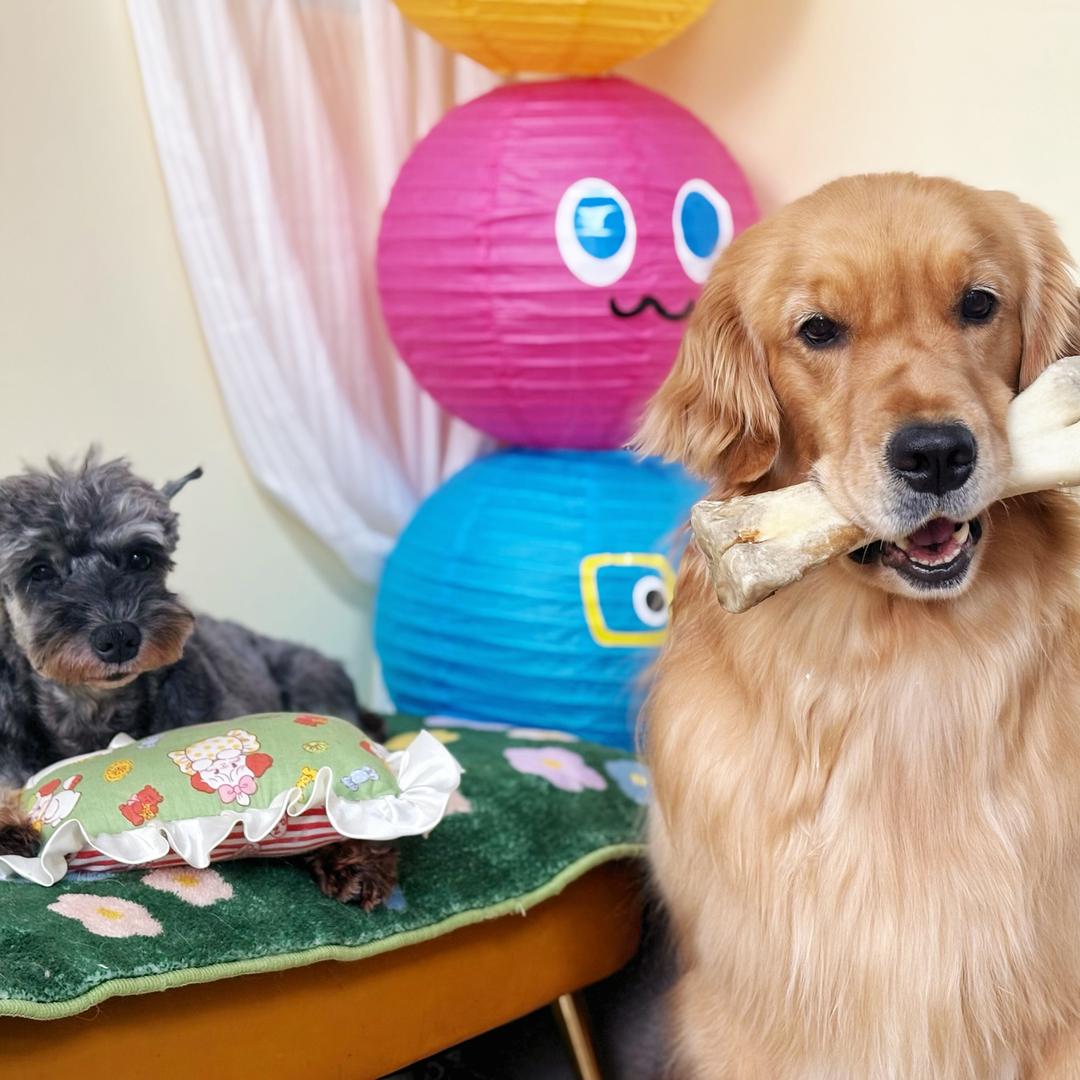 温室游乐园🐈🐶