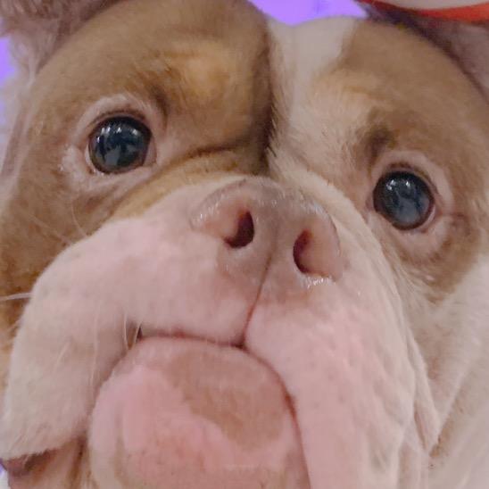 芭比的芭念bā😏白恶霸