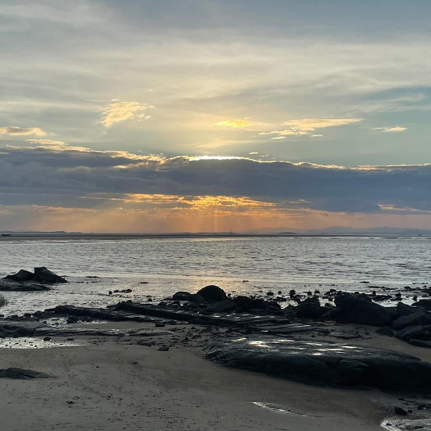 海棠@