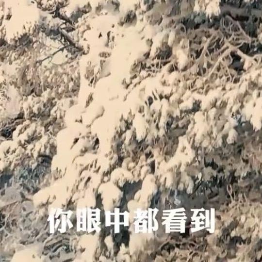 庄毕