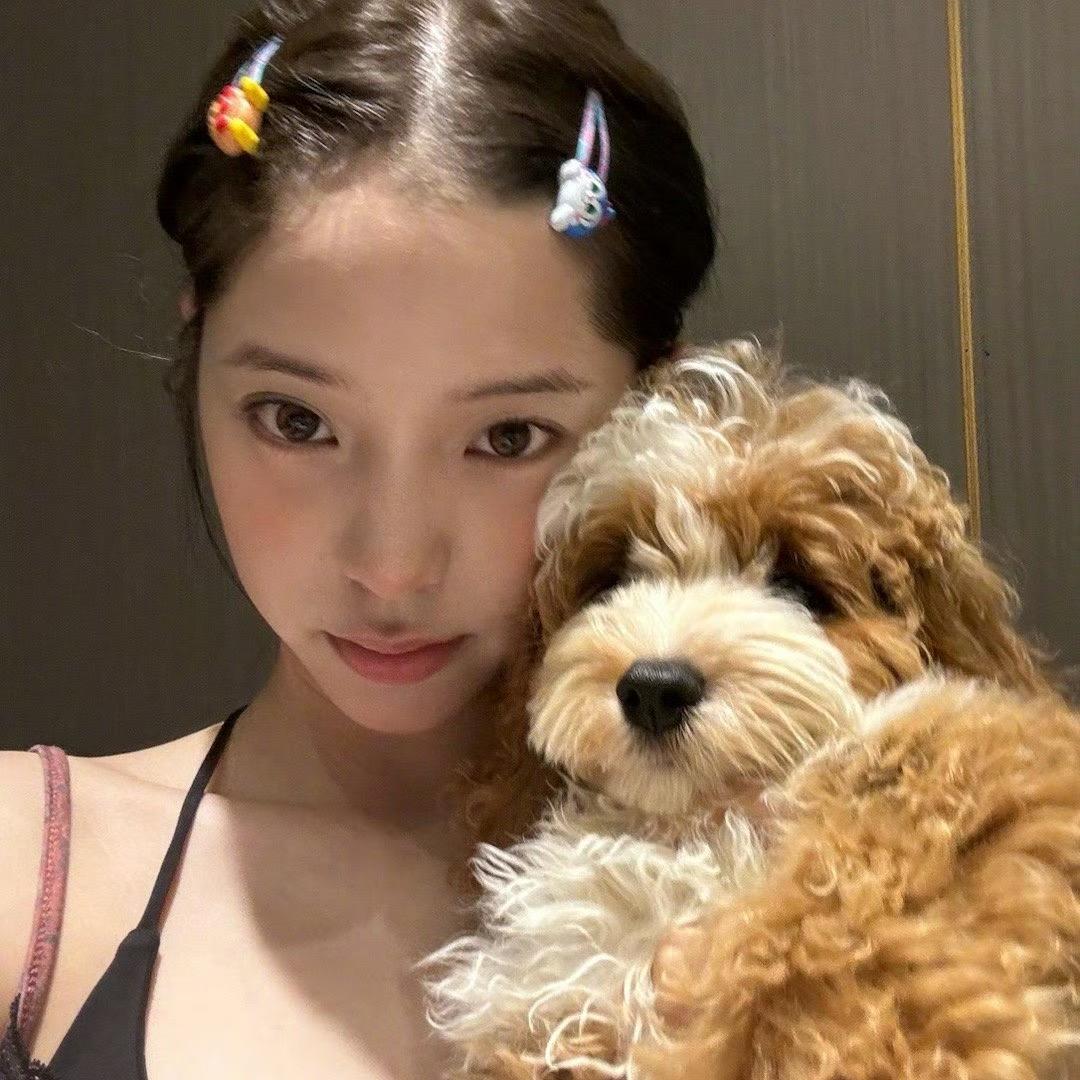 照亮你的Dear