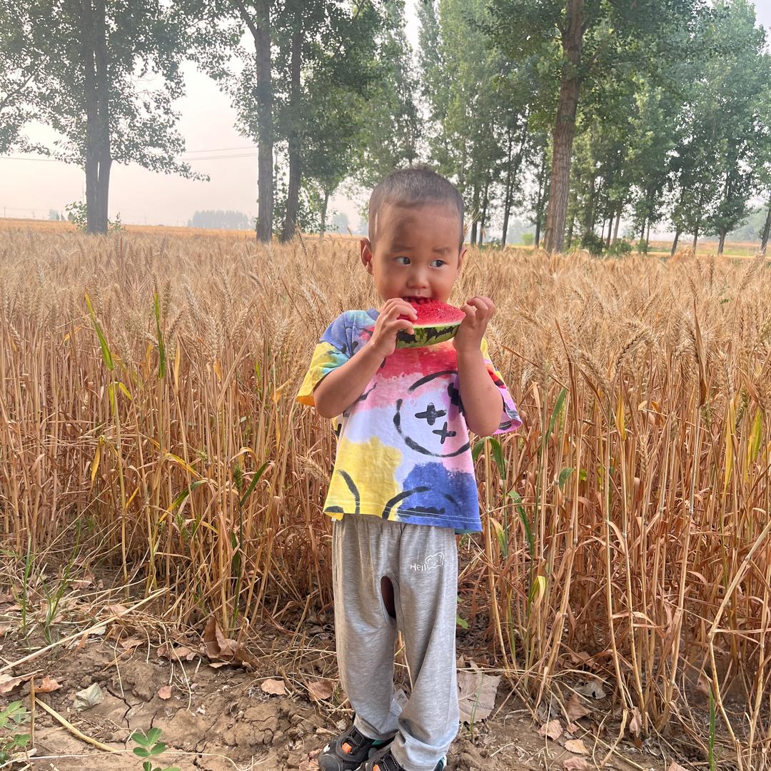 杨洋羊阳🐑要努力脱贫