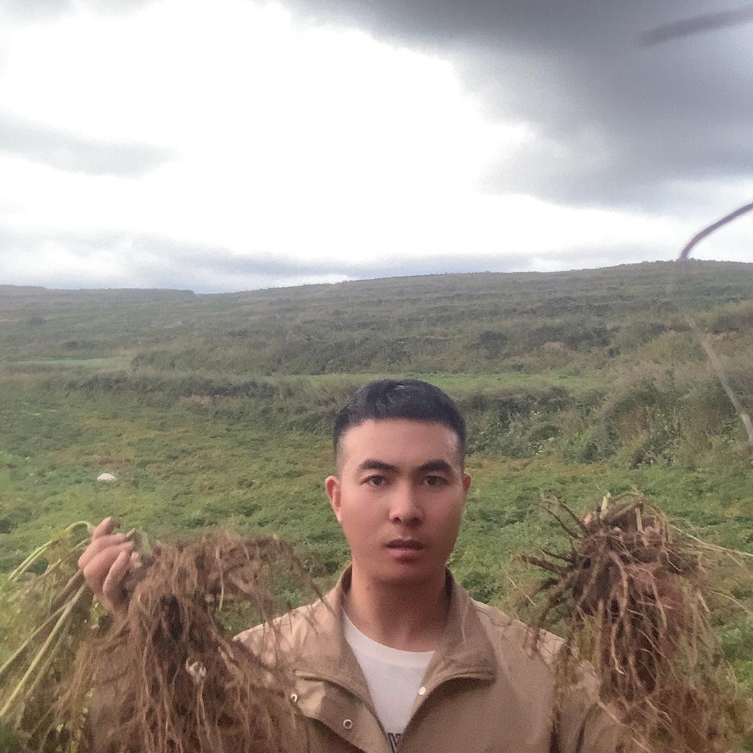 宕昌哈达铺源品农产臻选阁