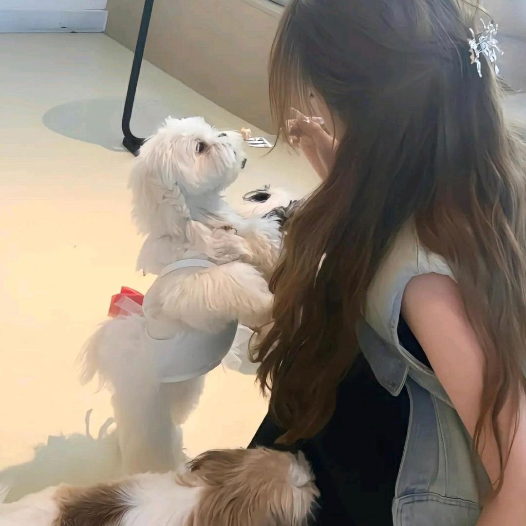 为什么这样子