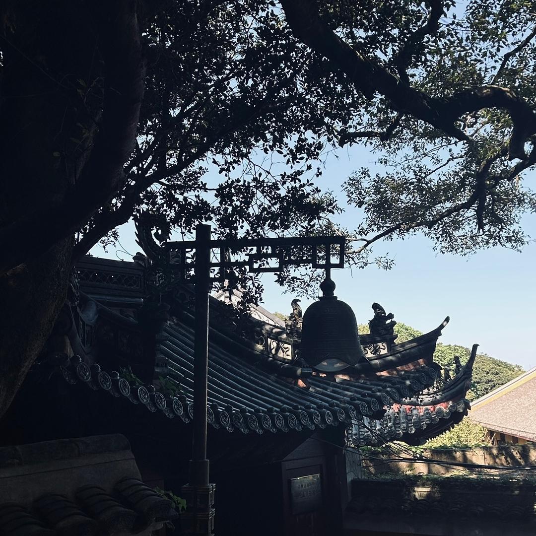 自有山河