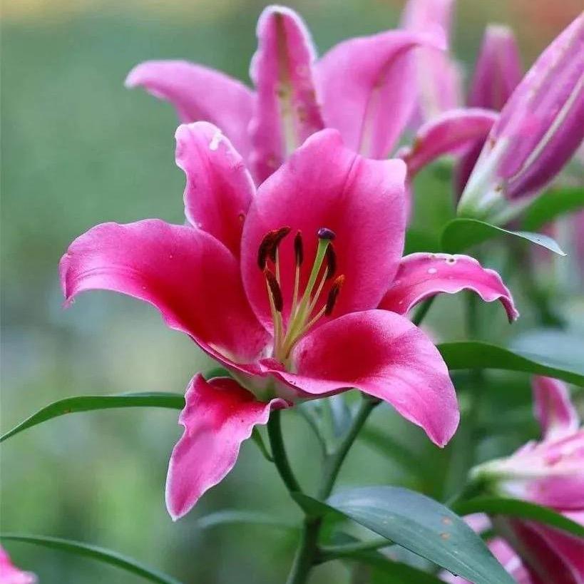 春暖花开