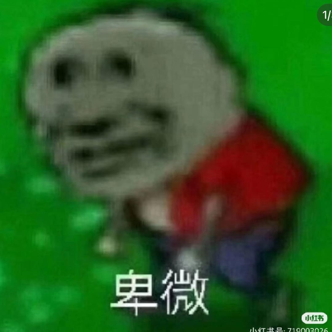 小小蛋创业版