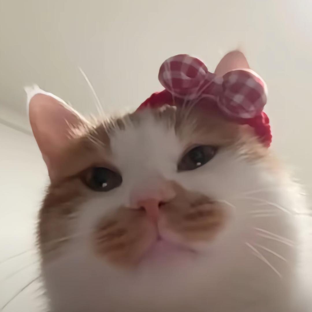花生什么树了