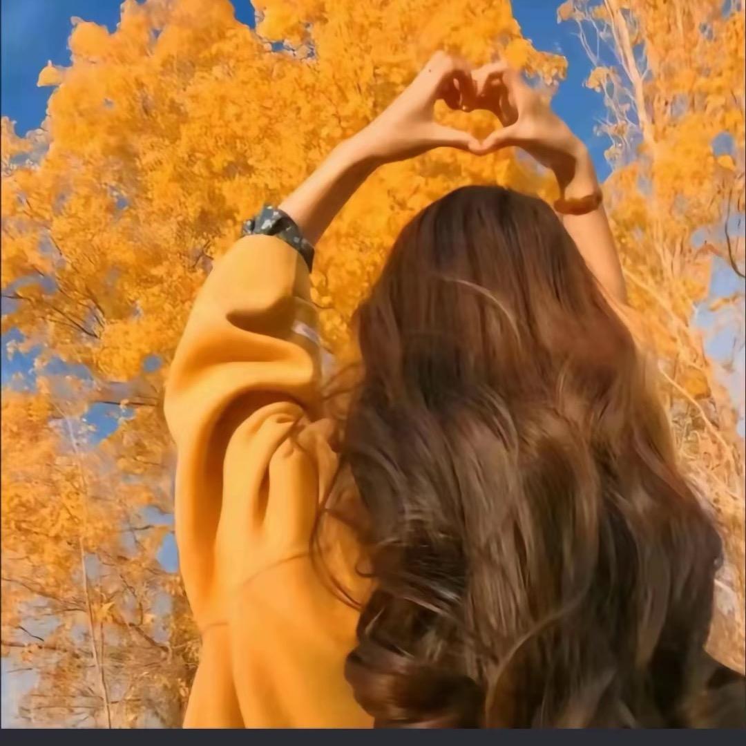 清真鸿茂斋涮肉坊官方号