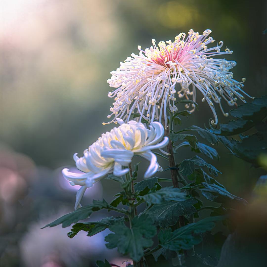 ☀️🌈Summer ✨✨