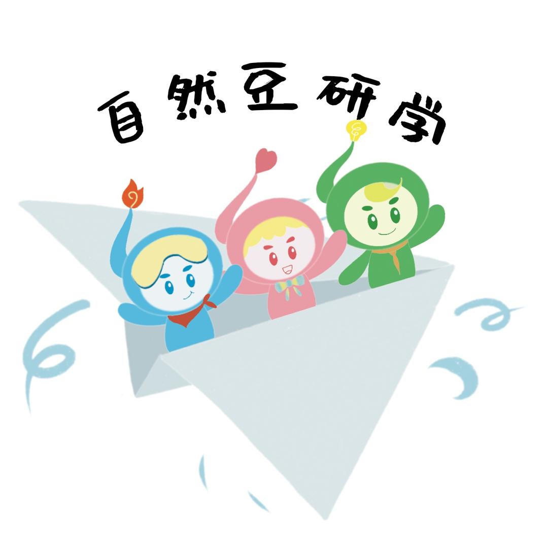 自然豆