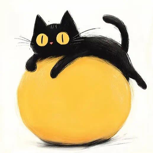 小黑猫