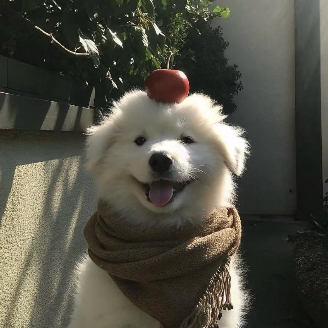 今天又做噩梦啦