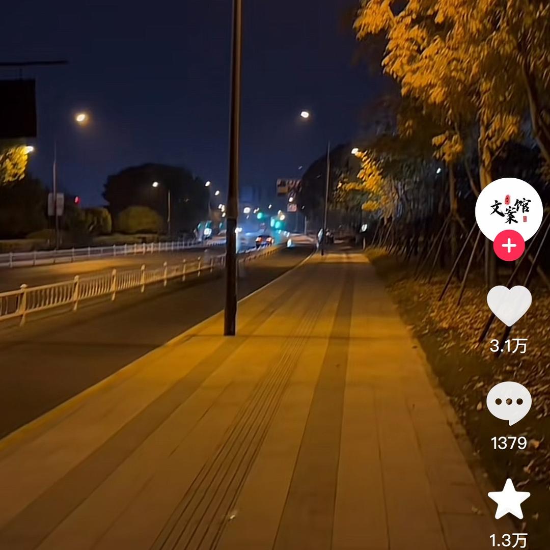 再见了