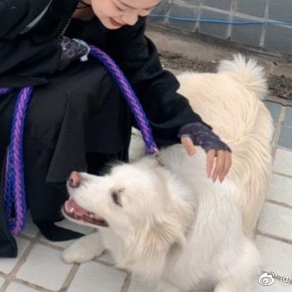 热热的小甜豆
