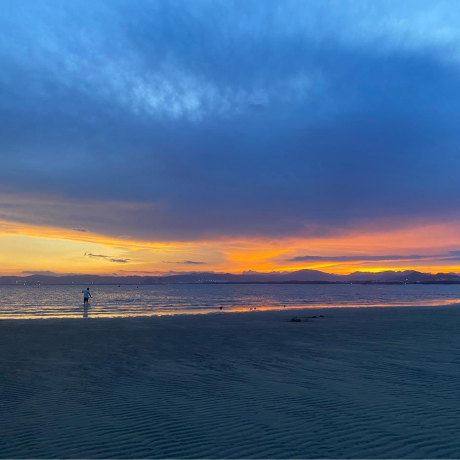 海南热带水果。小林