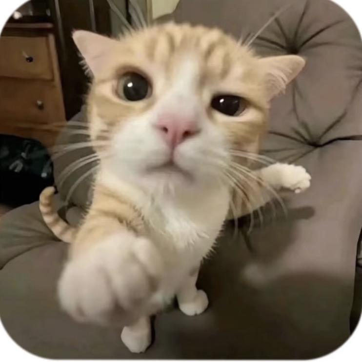 莲莲、
