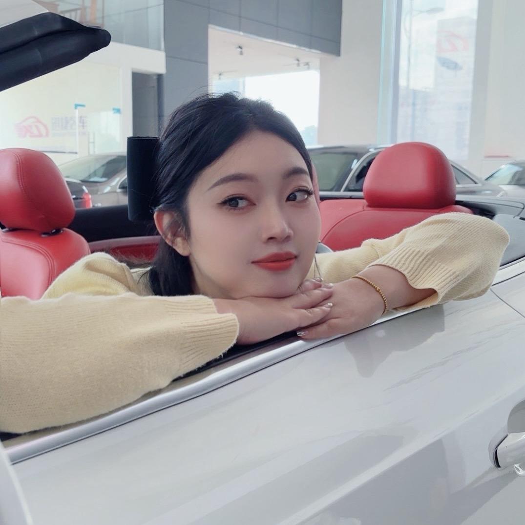 迅捷名车（安安）