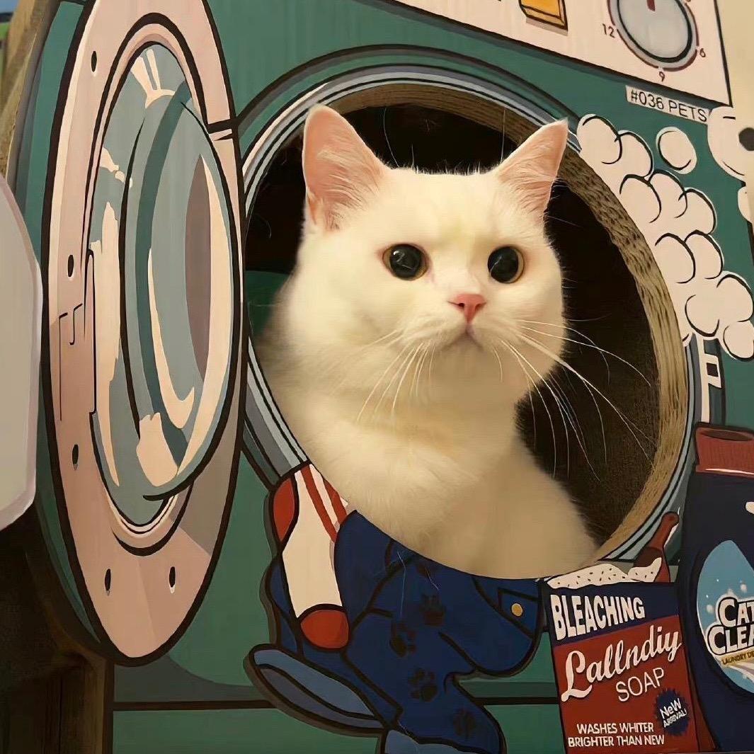 🌈🌈🌈L.🌙🌕