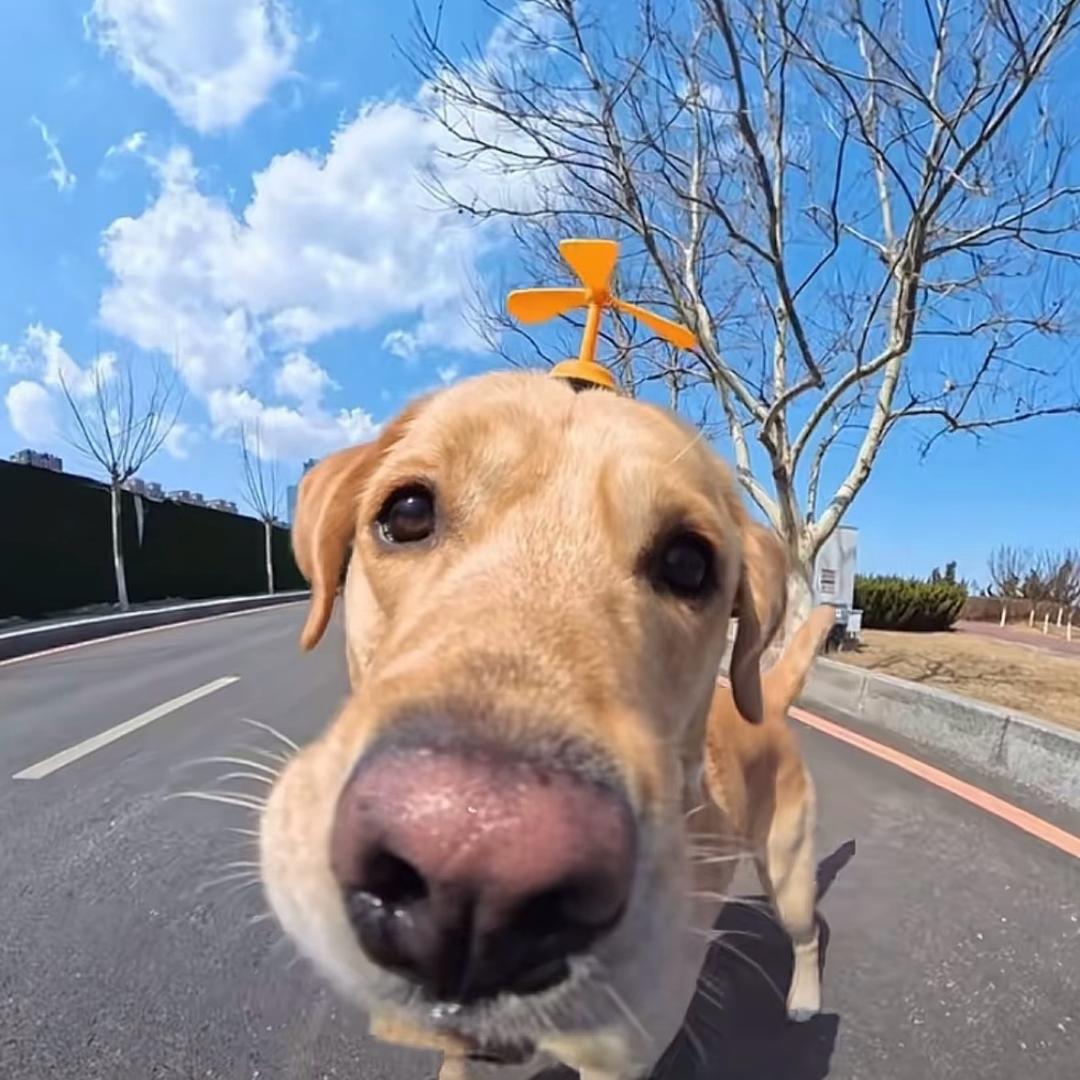 南辞牵绊