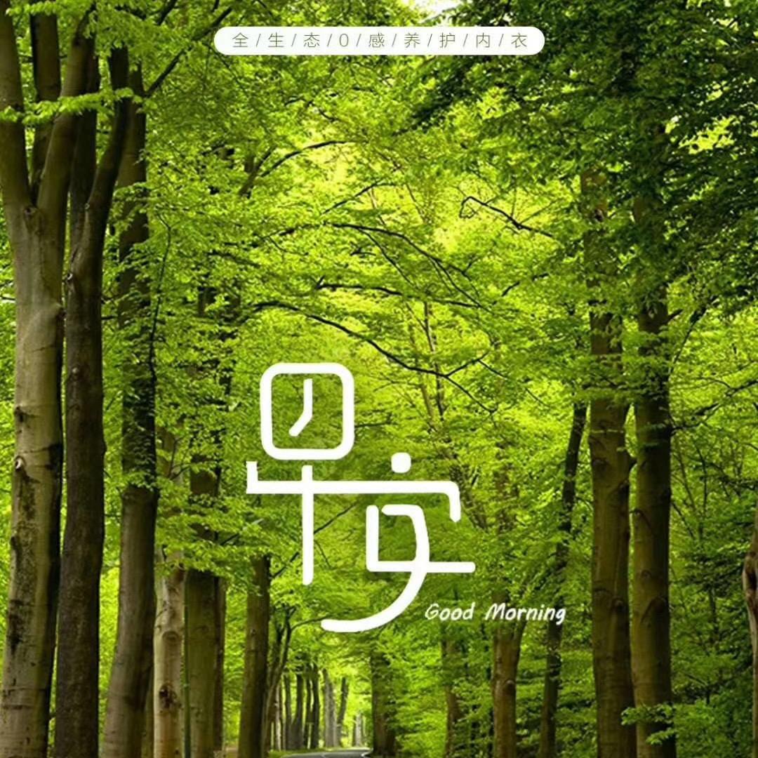 霞姐