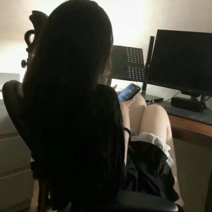 鸽子