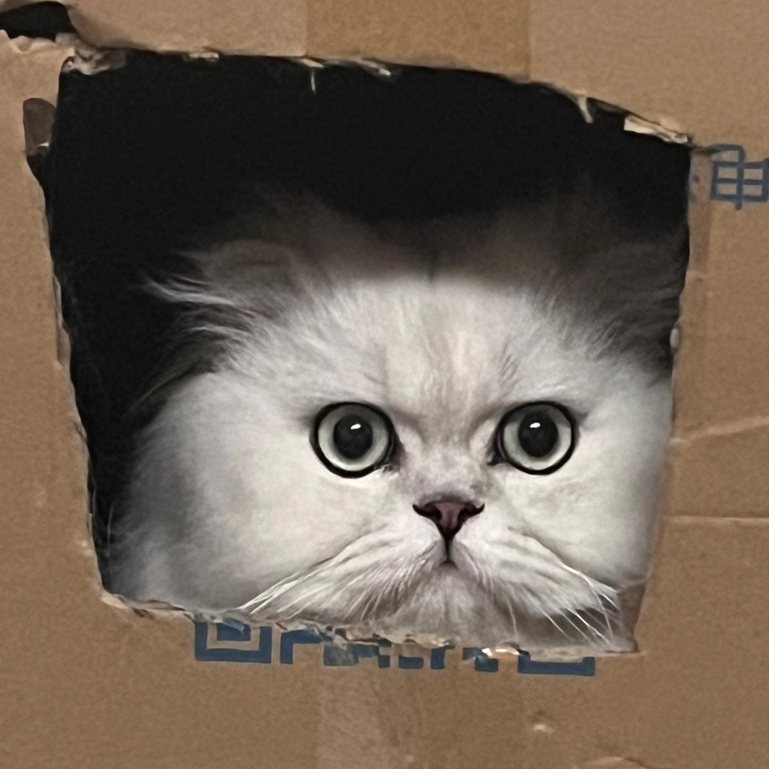 阿东