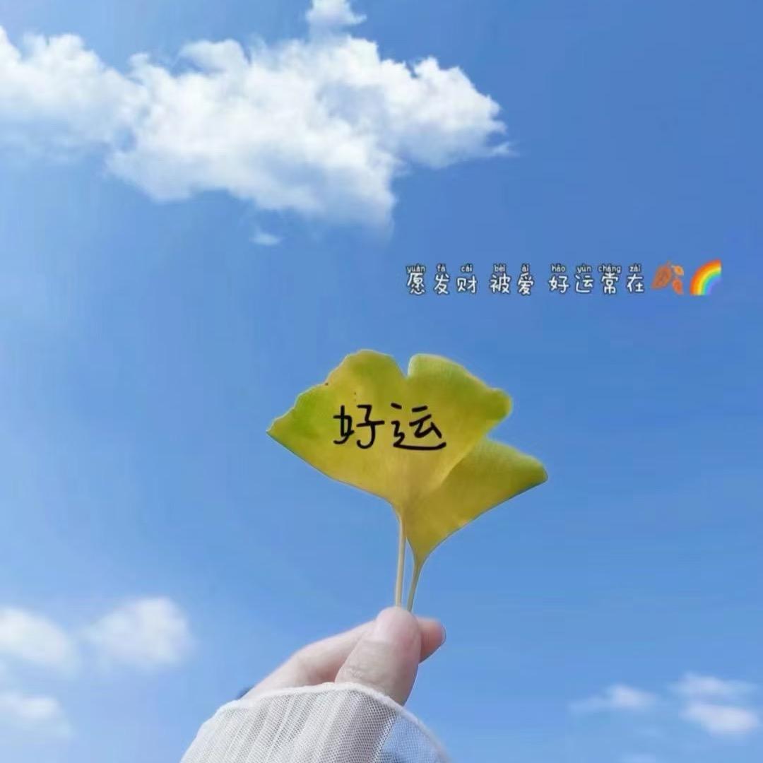 太阳当空“赵”～