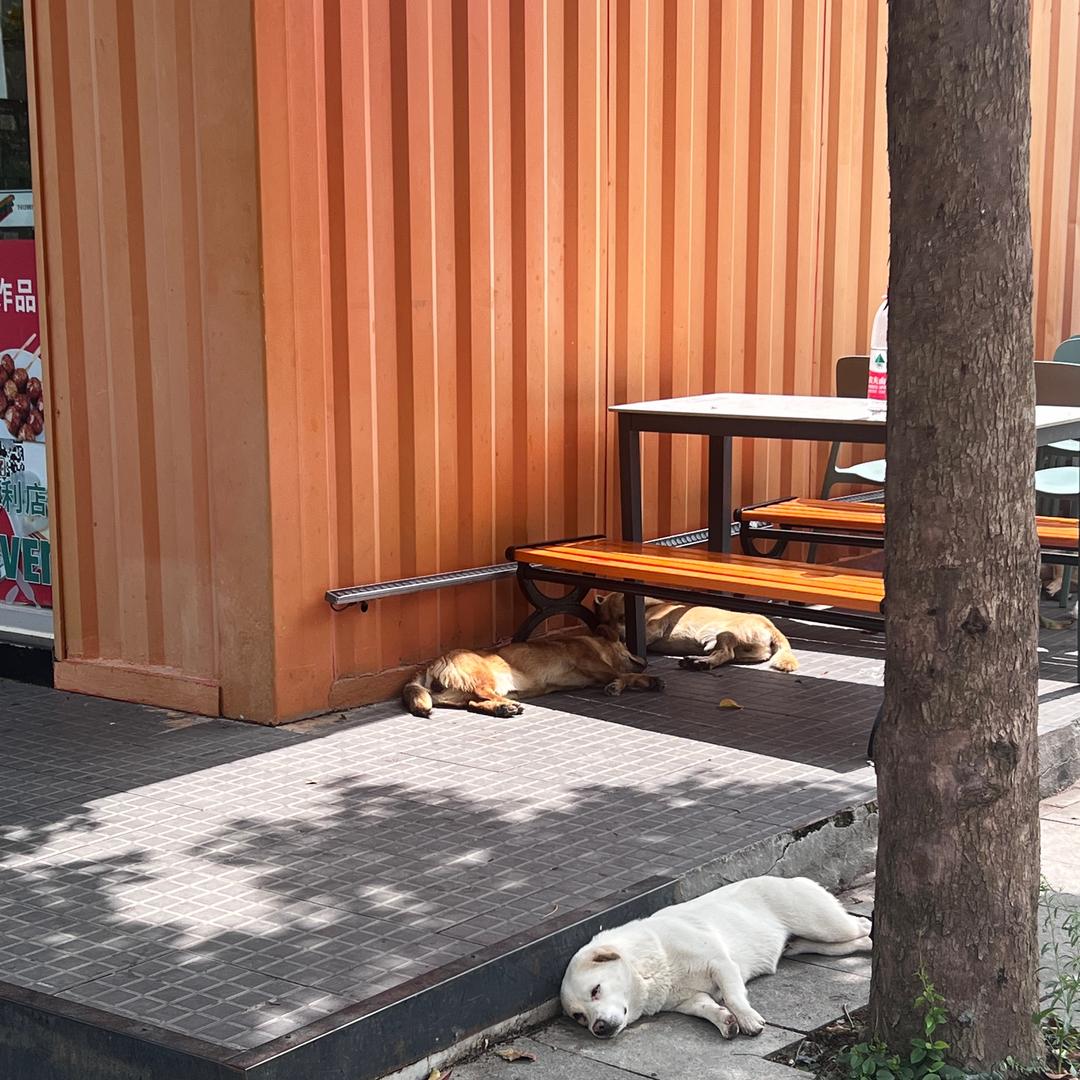 简简