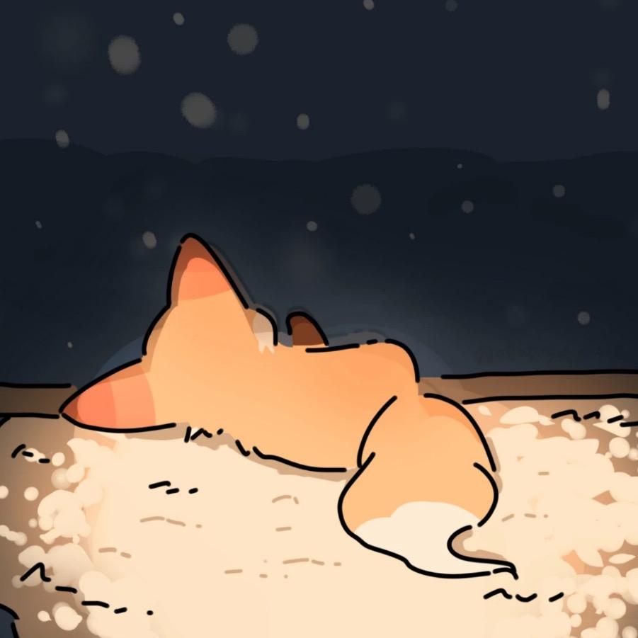 乔木