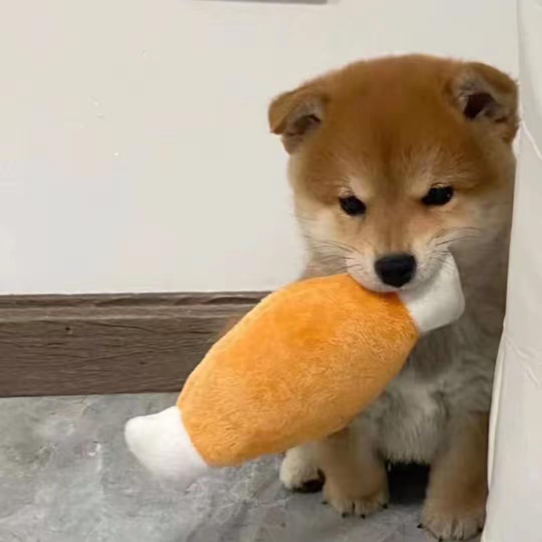 好看女装（双十一平价店）