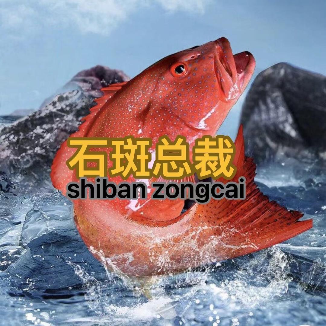 石斑总裁农产品供应链