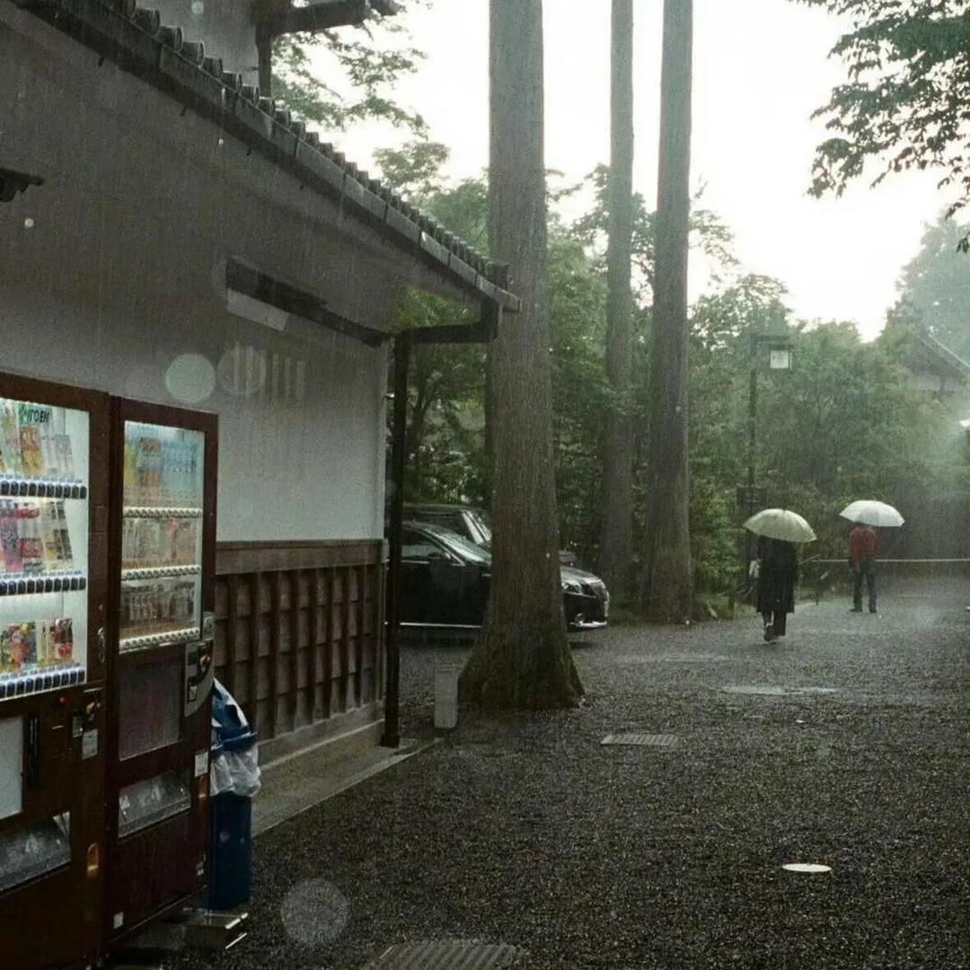 喜欢下雨天zZ