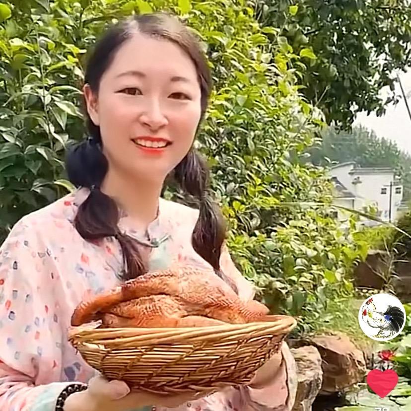 卖烧鸡的姑娘（烧鸡姐）