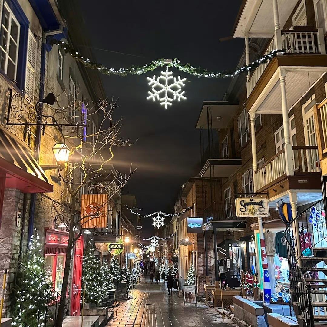 我期待的就是❄️