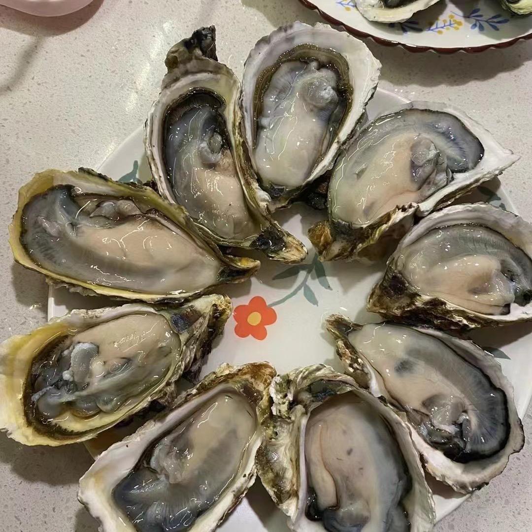 蚝花水产商行