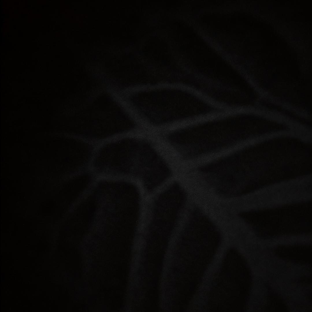 ×