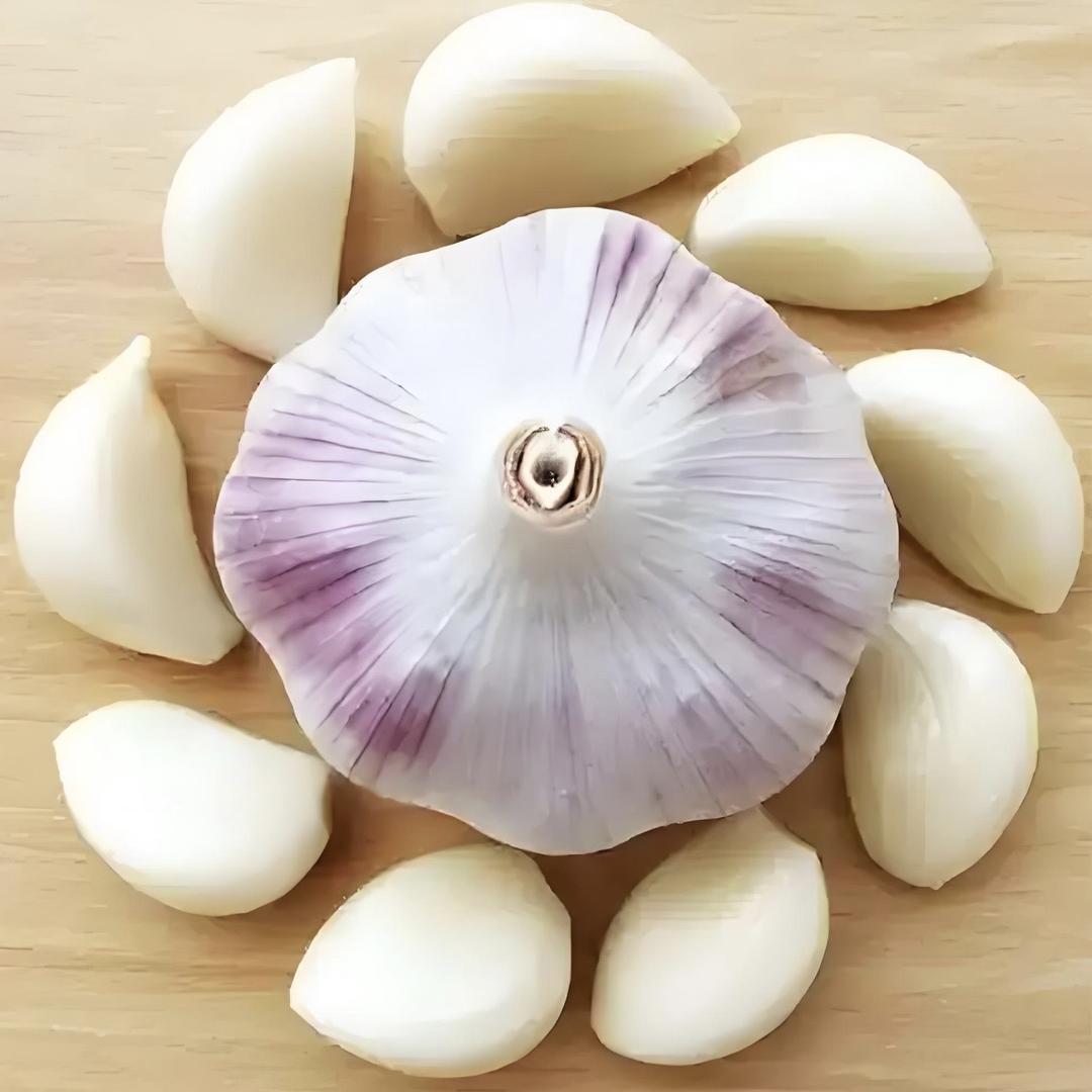 申弘农业