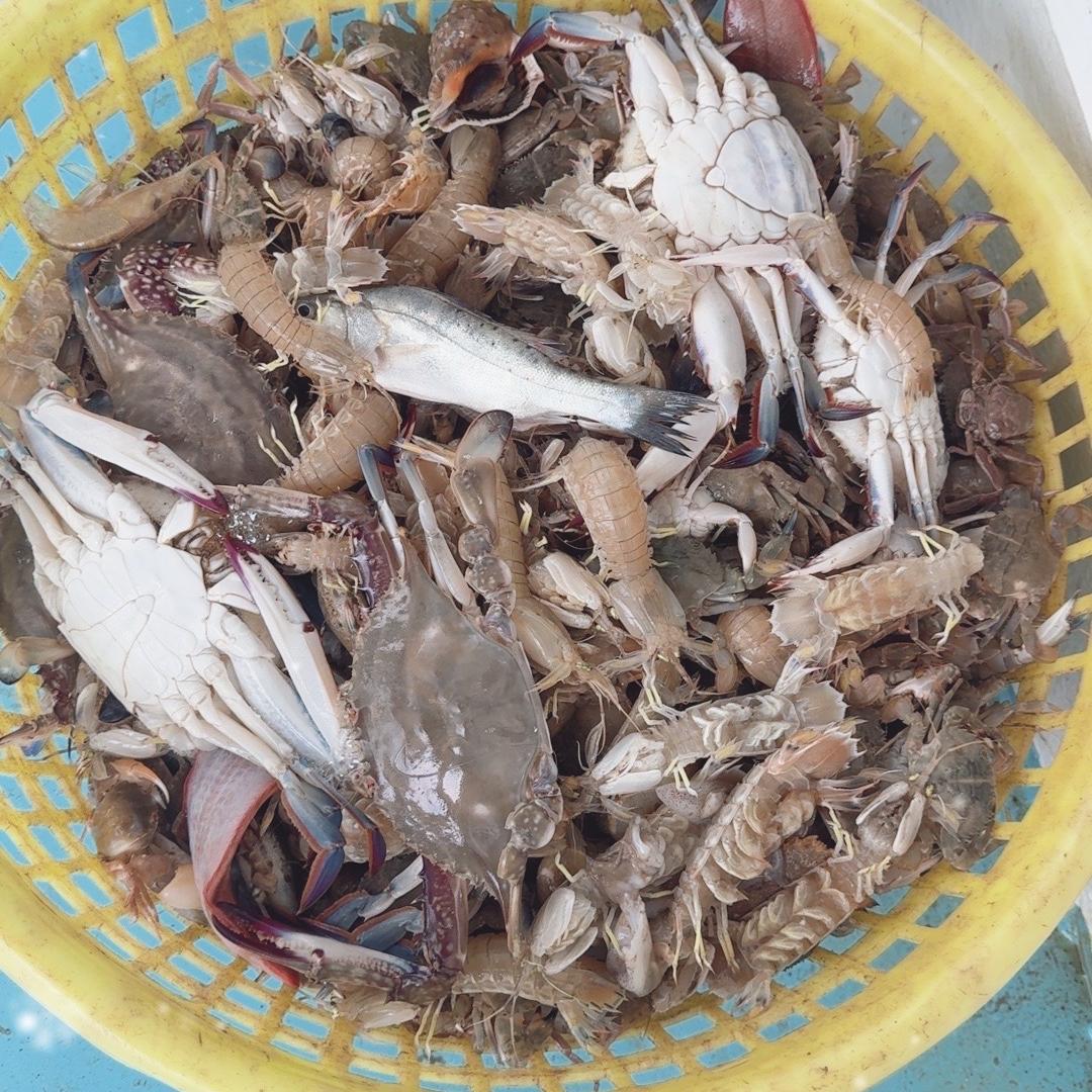 黄骅港王姐包船出海