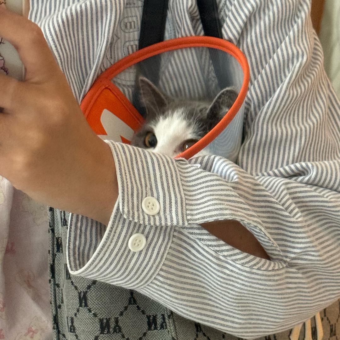 一片生姜