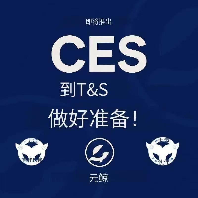 CES数字资产规划师