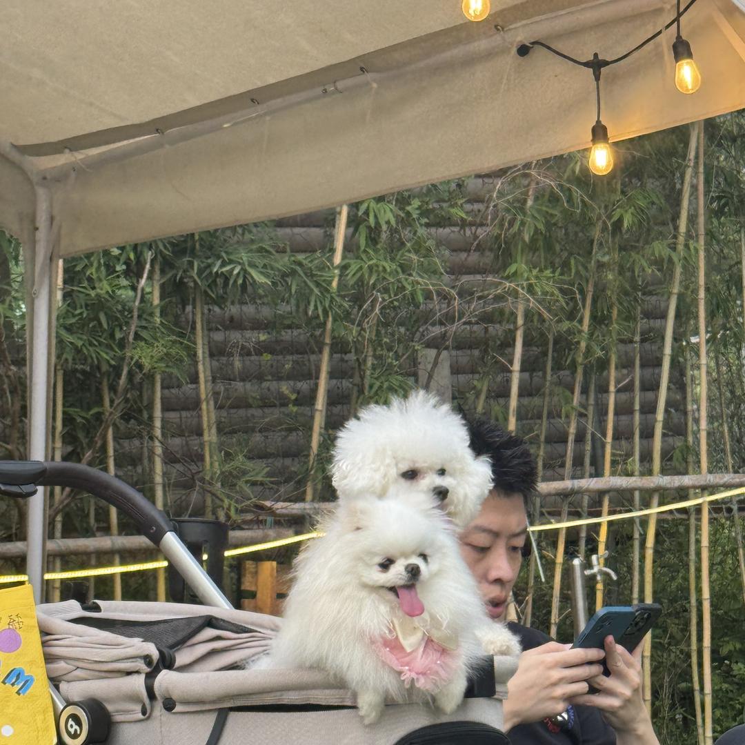 迪物烽萌宠生活馆