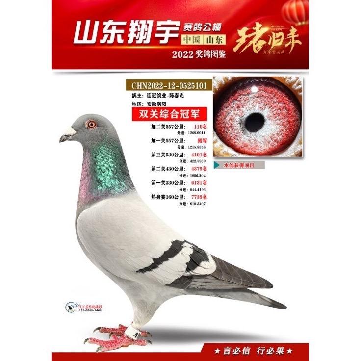涡阳县连冠宠物服务有限公司