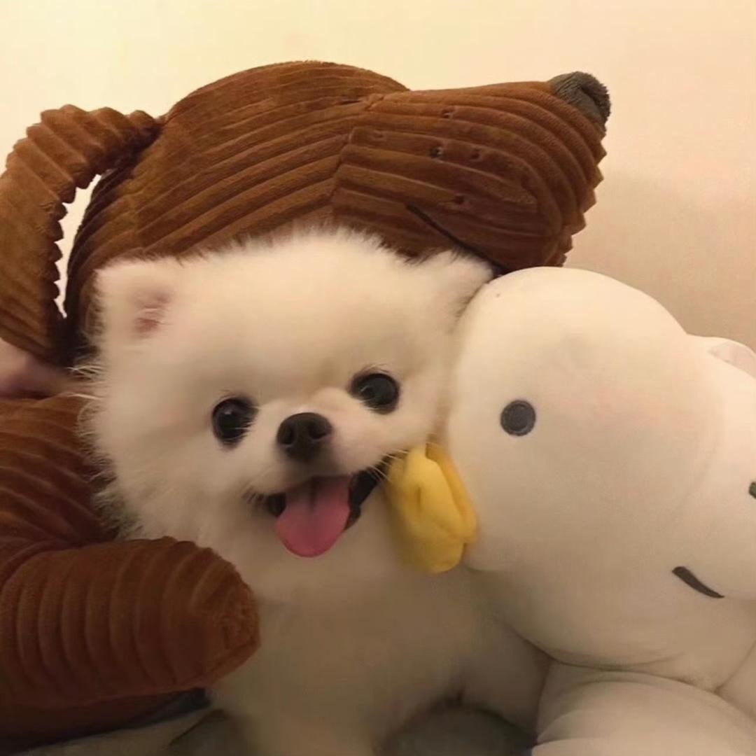 小舟潮