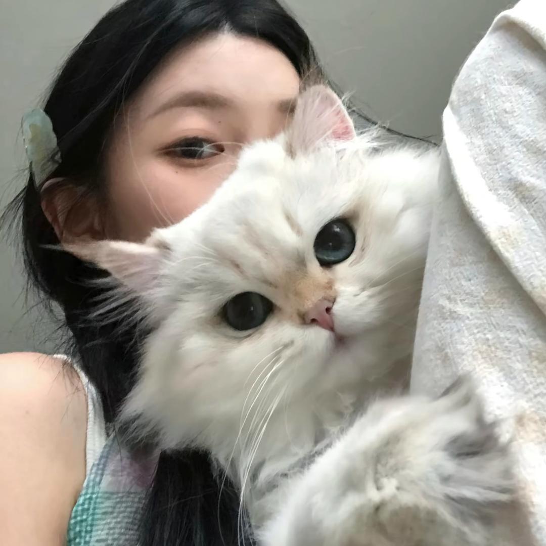 XIMAX太古轻奢户外