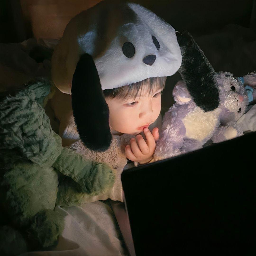 睡觉睡觉💤