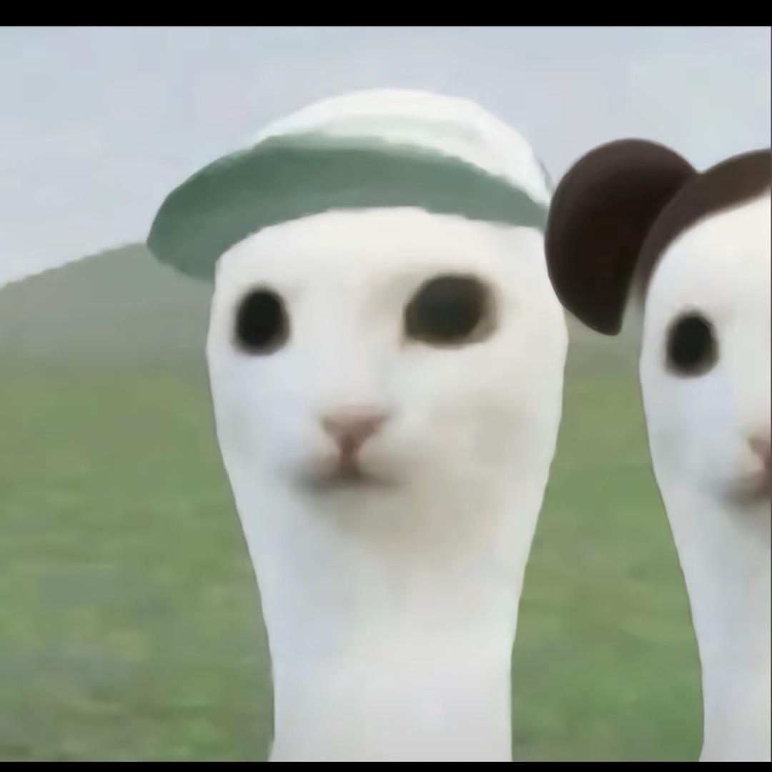 鼠