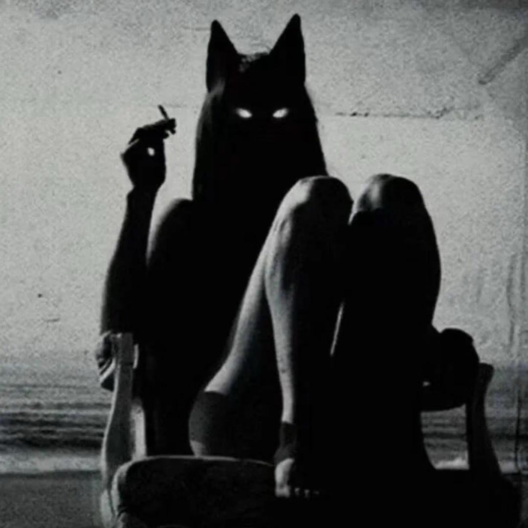 肆月🐈‍⬛